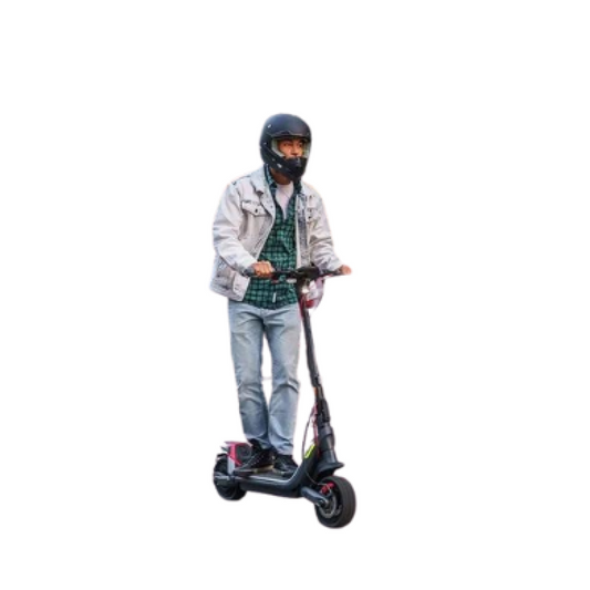 Segway KickScooter P100s
