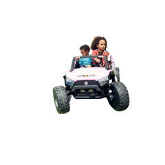 24v Dune Buggy 2 Seater Off-Road UTV Electric Motorized Kids' Ride-on Car Parental Remote Control Perfect Gift Limited Edition Black - Kids On Wheelz
