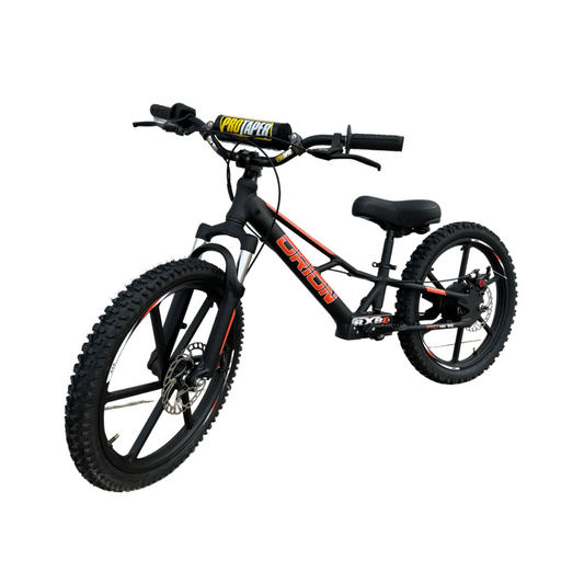eFORCE 20" 500W 48v Electric Balance Bike