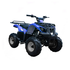 ATV BLAZER 125CC - GIO/APOLLO