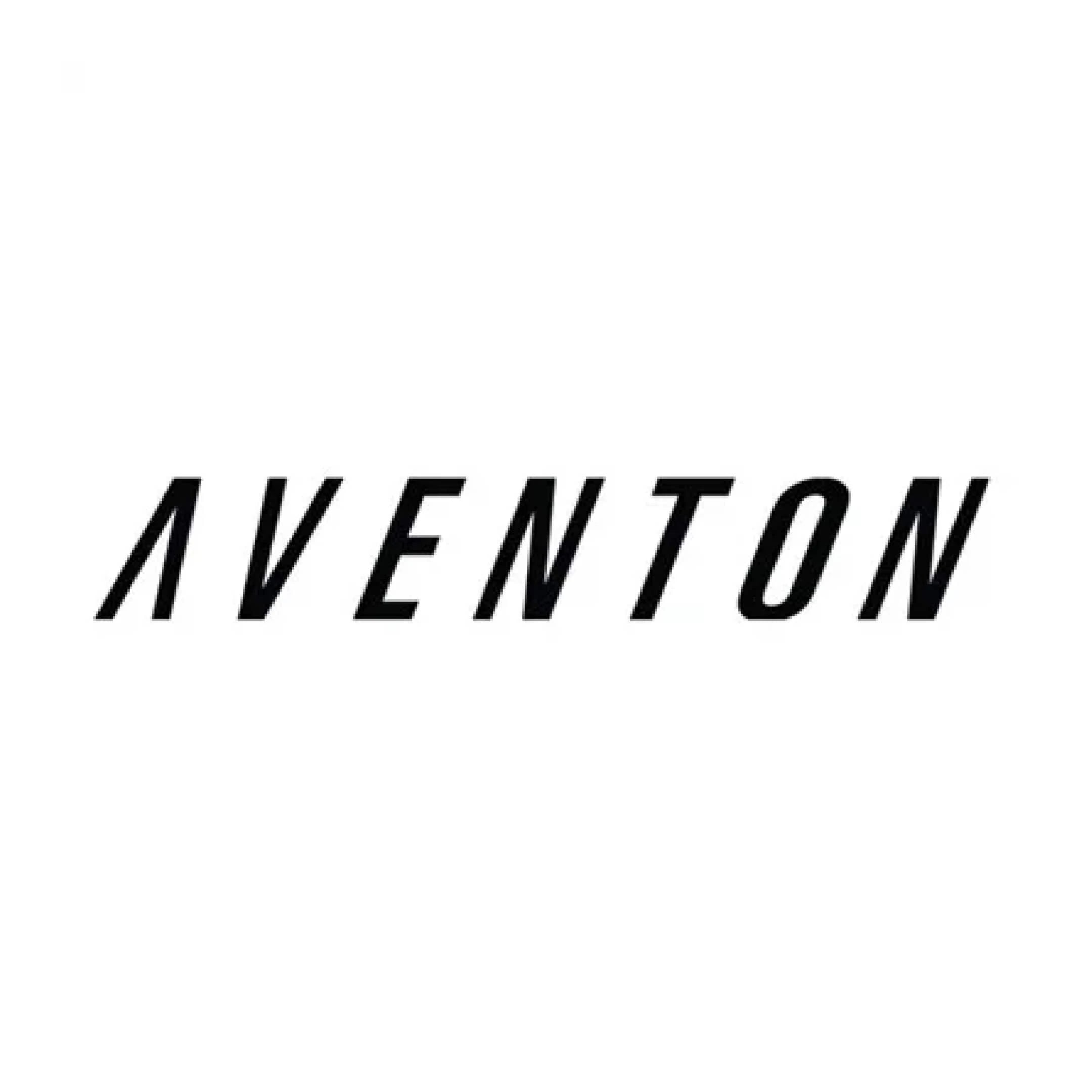 Aventon E-Bike