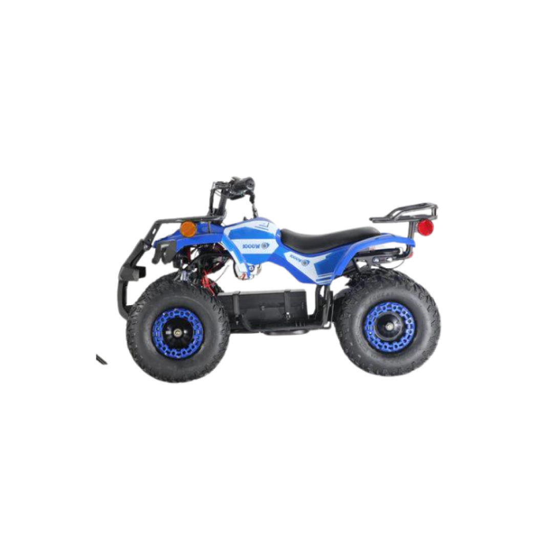 Electric quad 1000w hotsell