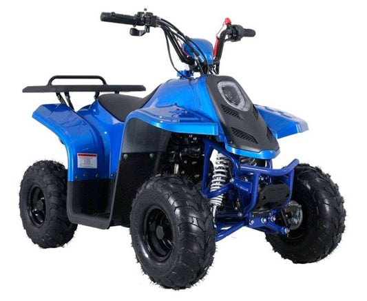 Rock 110 Kids ATV With Reverse - TAO Motor