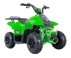 Rock 110 Kids ATV With Reverse - TAO Motor