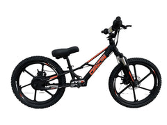 eFORCE 20" 500W 48v Electric Balance Bike